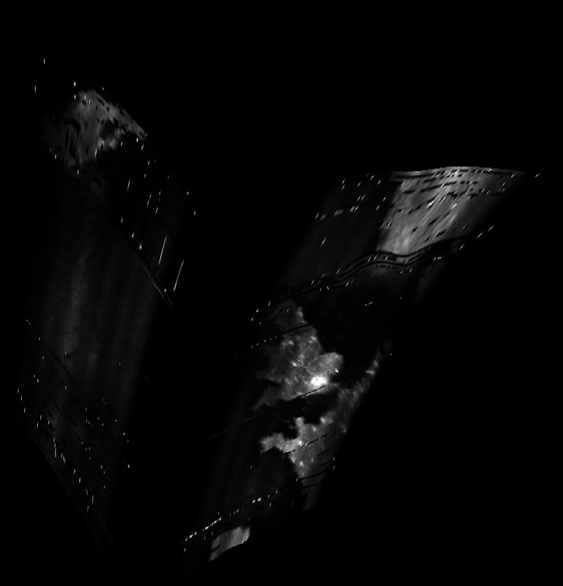 ascat_grayscale_proj_backward.png